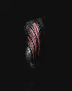 1000177490.webp